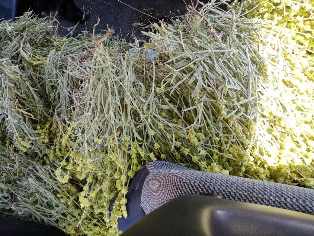 107486319 297304824749373 6794840391240279645 n - Ε΄ Κυνηγετική Ομοσπονδία Ηπείρου