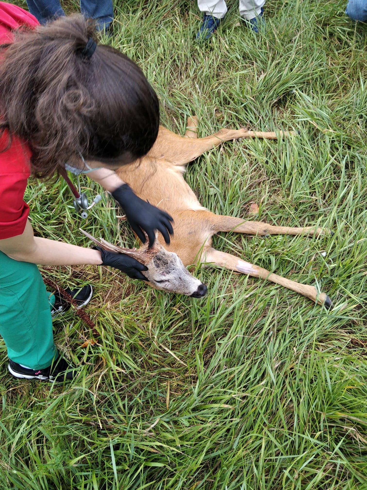 117357688 1715057145299735 5410057650891654433 n - Ε΄ Κυνηγετική Ομοσπονδία Ηπείρου