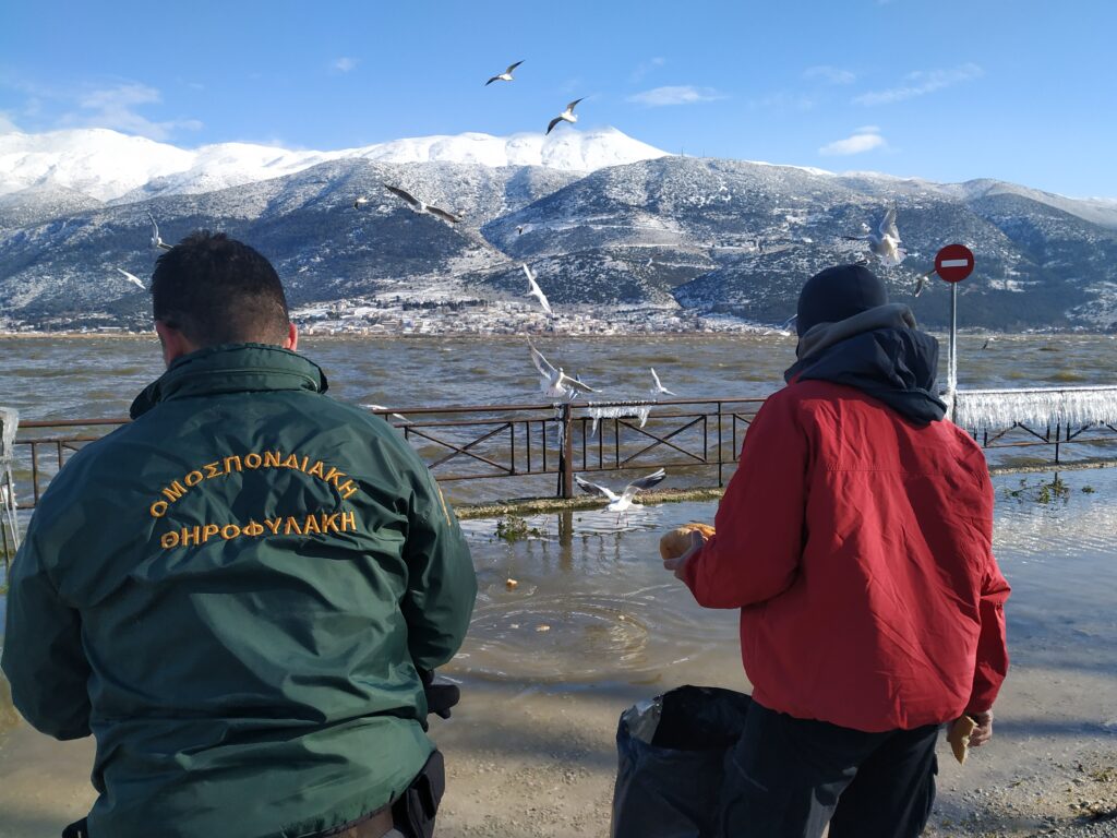 IMG 20210215 100450 - Ε΄ Κυνηγετική Ομοσπονδία Ηπείρου