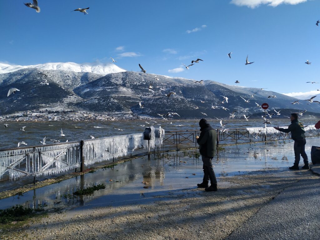 IMG 20210215 100551 - Ε΄ Κυνηγετική Ομοσπονδία Ηπείρου