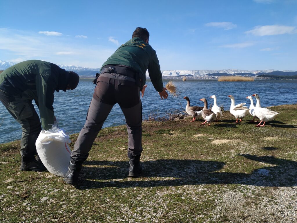 IMG 20210215 105159 - Ε΄ Κυνηγετική Ομοσπονδία Ηπείρου