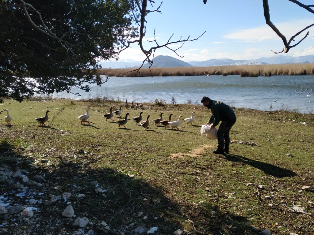 IMG 20210215 105729 - Ε΄ Κυνηγετική Ομοσπονδία Ηπείρου