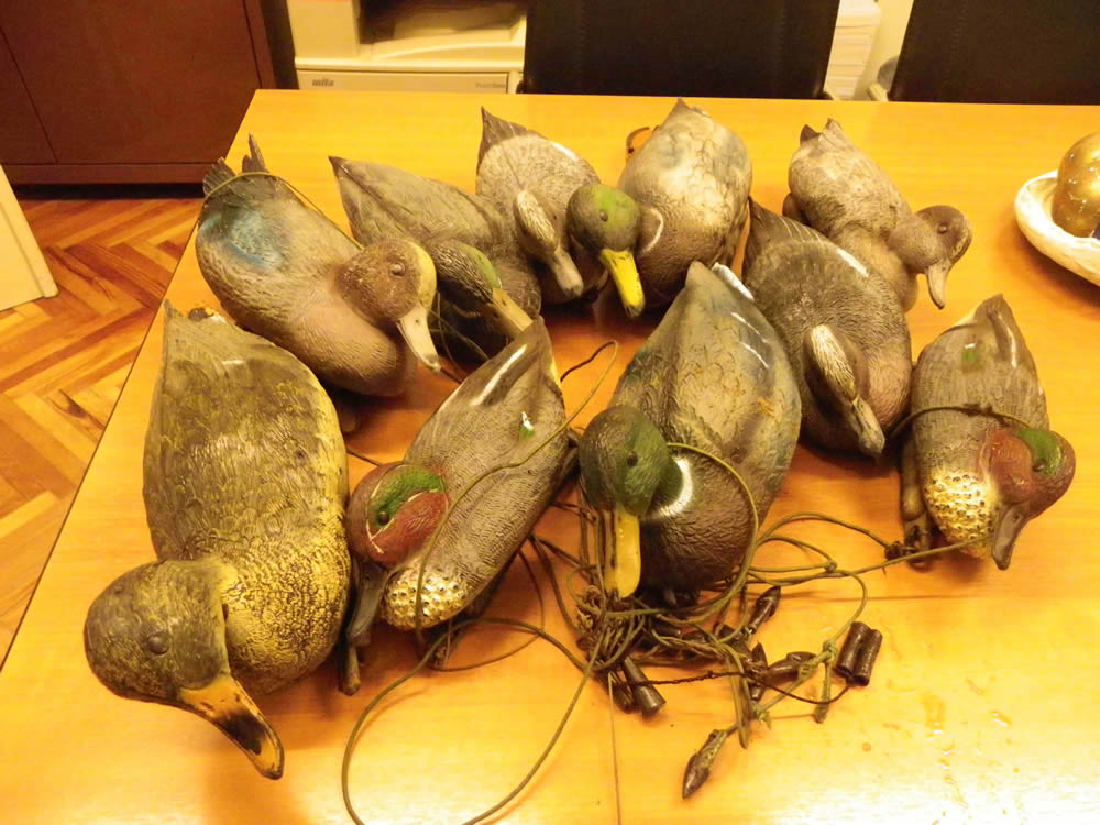 deltio tipou02 29 12 2014 - Ε΄ Κυνηγετική Ομοσπονδία Ηπείρου