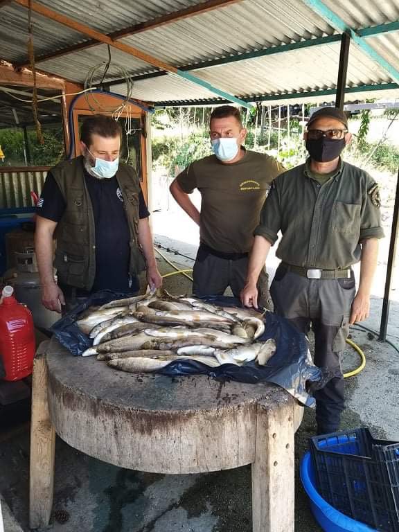 197405591 1107596049728827 50215443423417888 n - Ε΄ Κυνηγετική Ομοσπονδία Ηπείρου