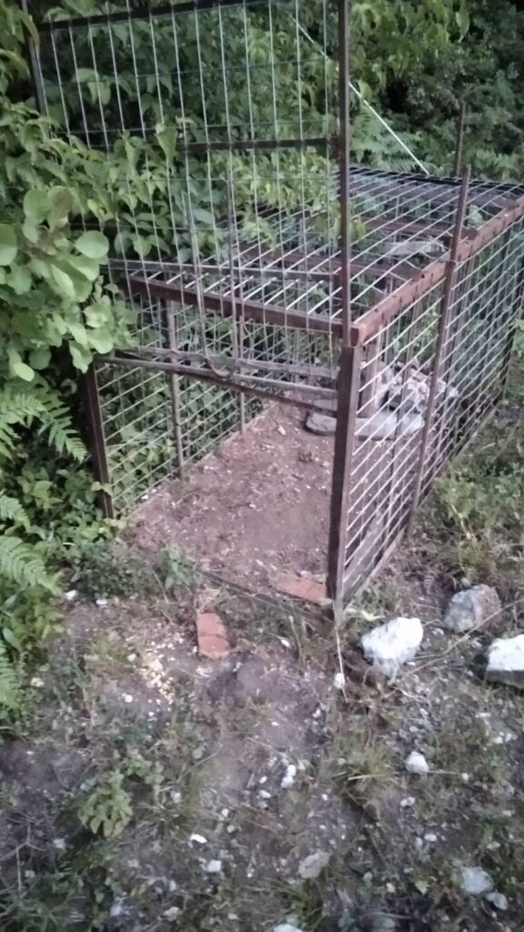 IMG 0c09ab997f4d79ea237ae6d7ce981721 V - Ε΄ Κυνηγετική Ομοσπονδία Ηπείρου