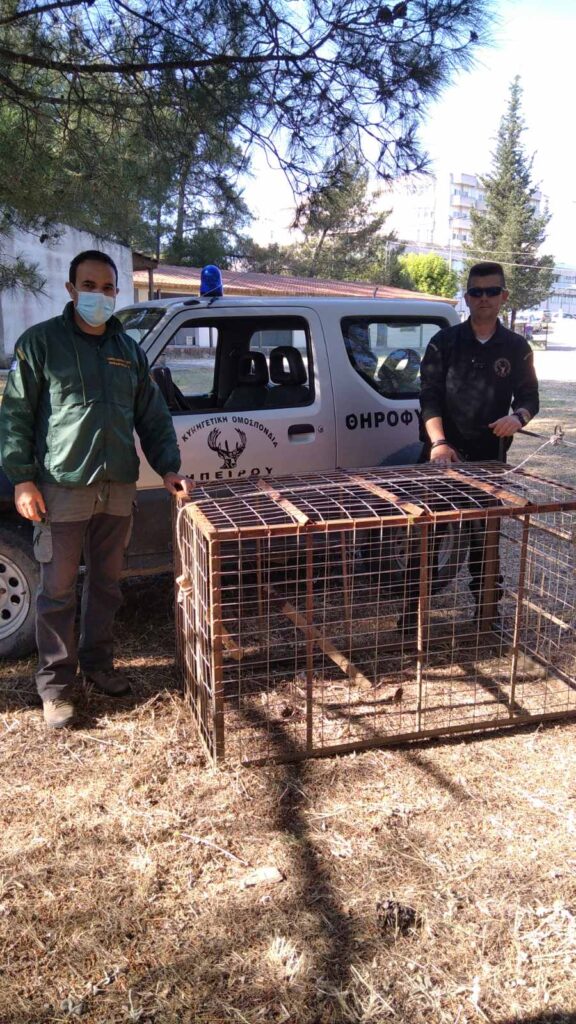 IMG 1fb0cc01ec8a54ffb7ec3cf2e6a1988d V - Ε΄ Κυνηγετική Ομοσπονδία Ηπείρου