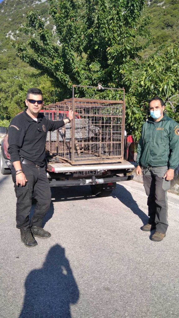 IMG a64ddb389e24e77084920fe344239481 V - Ε΄ Κυνηγετική Ομοσπονδία Ηπείρου